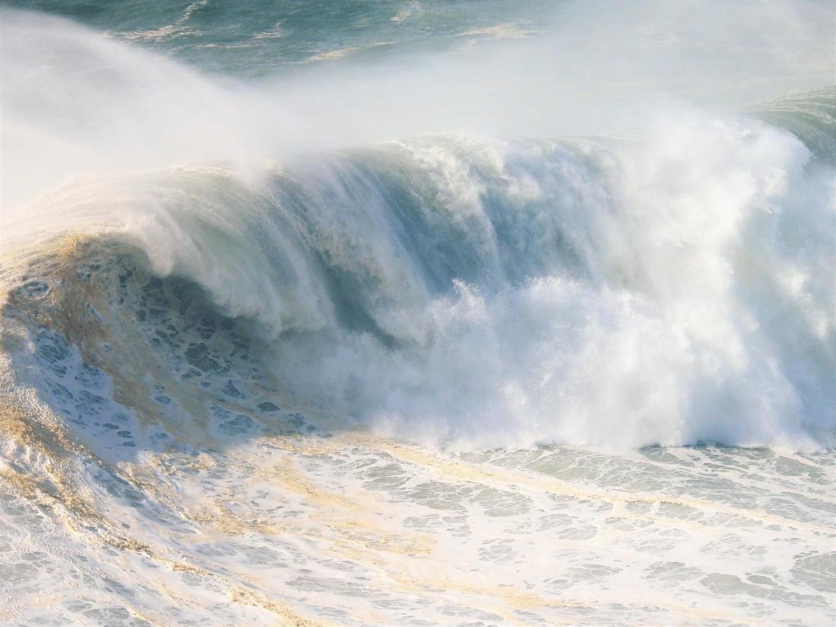 White Swell By Sitio Da Nazare Lägenhet Exteriör bild