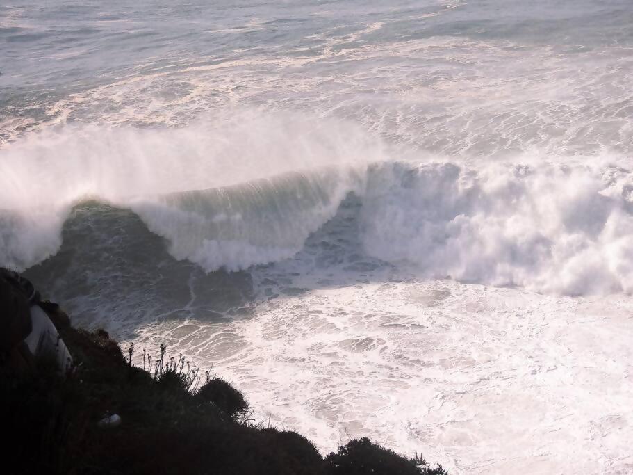 White Swell By Sitio Da Nazare Lägenhet Exteriör bild